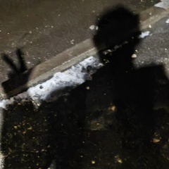 Никита Косицкий, 10.02.1992, Узловая