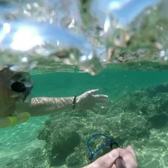 Сергей Борисов, 22.08.1987, Алматы