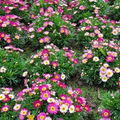 Антонина Дудкина, 31.08.1986, Ростов-на-Дону