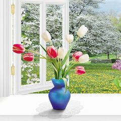 Неля Багаудинова, Димитровград