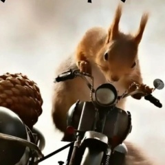 Александр Прокопьев, 01.04, Москва