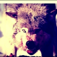 Асанали Аскарбеков, 27.12, Петропавловск