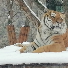 Александр Федотов, 27.03.1989, Нижний Новгород