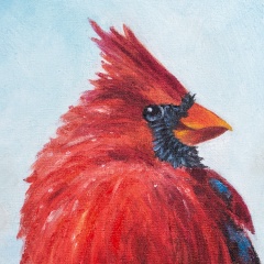 Александр Матус, 17.01.1979, Минск