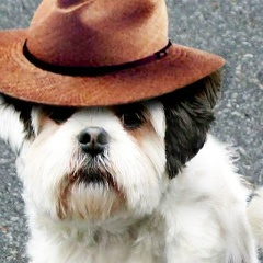 Александр Тимошенко, 02.11