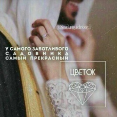 Радима Масаева, Шали