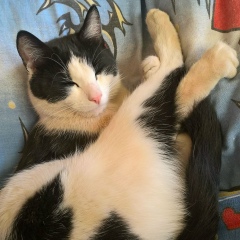 Наталья Елизарова, 08.08.1970, Ивантеевка