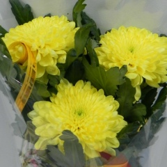 Элла Володарская, 23.01.1962, Ташкент