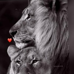 Сейітбек Исламов, 01.02.1994, Астана