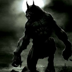 Павел Холод, 12.08