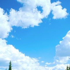 Николай Емельяненко