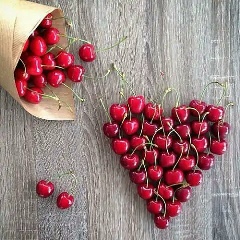 Светлана Чекрыжова, Иноземцево