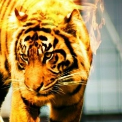 Руслан Сапегин, 28.02, Москва