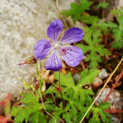Айгульчик Suleimenova, 18.02