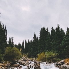 Жулдыз Курманалиева, 10.12.1992, Алматы