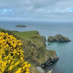 Лиза Бояринцева, 30.05