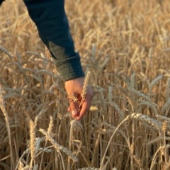 Хорик Оганисян, 29.07, Каменск-Уральский