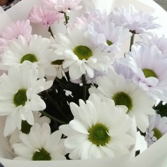 Валентина Платова, 15.07, Верховажье