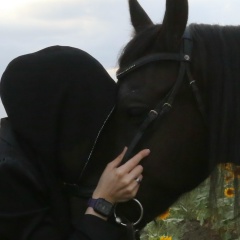 Mdn Kh, 17.08, Грозный