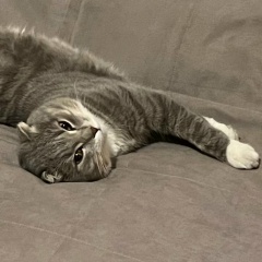 Булат Цыденов, 16.07, Улан-Удэ