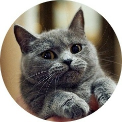 Илья Данилов, 05.10