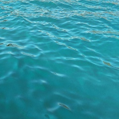 Катя Антошкина, 19.02