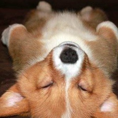 Илья Фомин, 22.08.1991, Москва