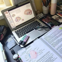 Мохаммед Лями, 29.11, Киев