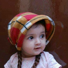 Gurmeet Singh, 01.01