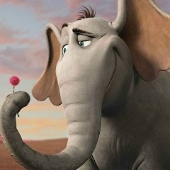 Анна Базыкина, Санкт-Петербург