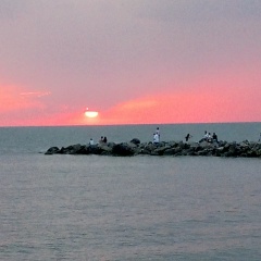 Яшка Ромашка