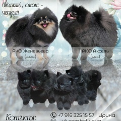 Ирина Гордиенко, 16.09, Москва