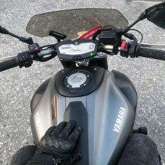 Лидия Пушкарёва