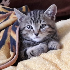 Кенже Абильдинов, 05.08.1997