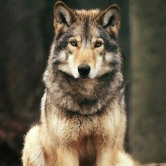 Артём Сысоев, 14.07, Тамбов