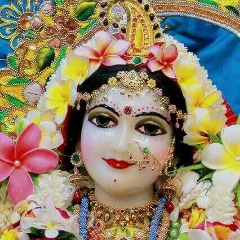 Сайкал А., Бишкек