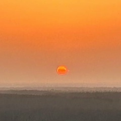 Роберт Азарян, Ереван