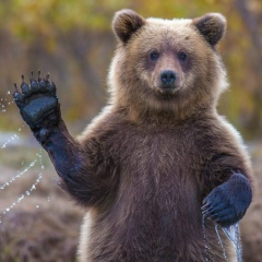 Потап Берестовенко, 01.08, Москва
