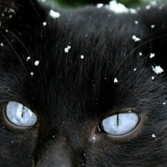 Сайрес Смит