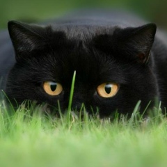 Сергей Сергеевич, 20.12, Тверь