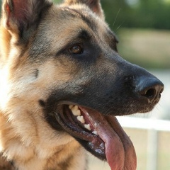 Павел Мазурик, 13.03.1987