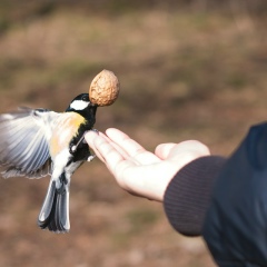Катя Гнатовская, 05.05.1989, Киев