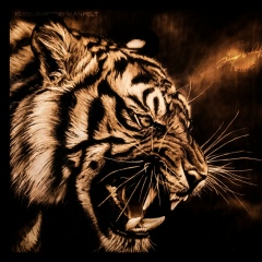 Дмитрий Голубь, 01.07, Санкт-Петербург