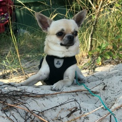 Паша Кунов, 13.07, Санкт-Петербург