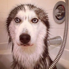 Bela Gukepshokova, 24.08, Нальчик