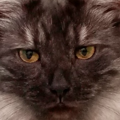 Доротея Блюм, 22.03, Тверь