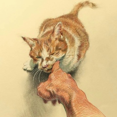 Дмитро Кравченко, 25.01, Сумы