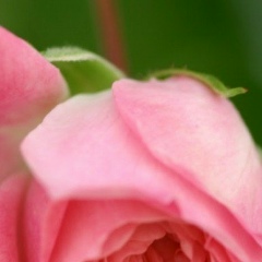 Маржан Искакова, 07.11.1983