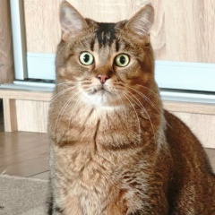 Серега Кот, 24.08.1989, Москва