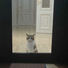 Жакера Мутаева, 09.01.1981, Москва